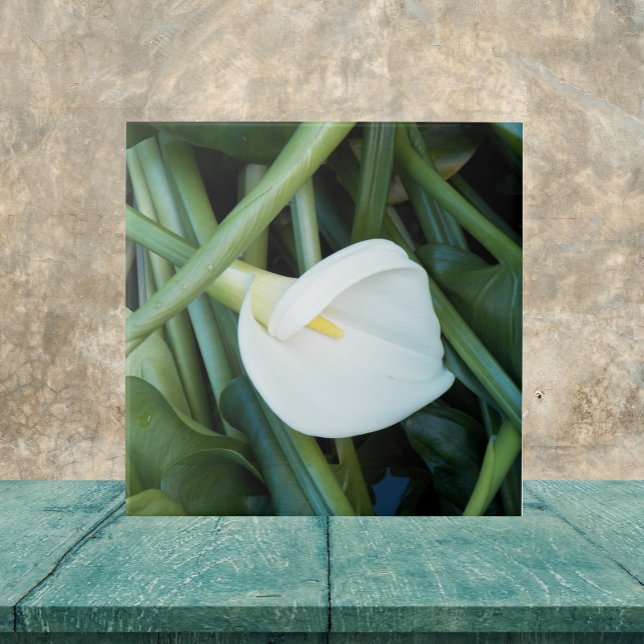White Calla Lily and Green Foliage Floral Ceramic Tile (In Situ)