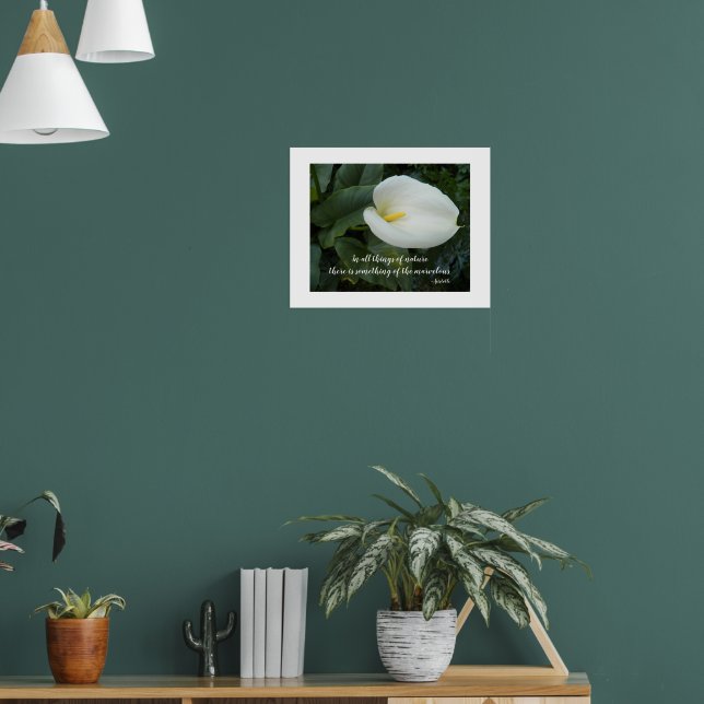 White Calla Lily Aristotle Philosophical Quote Poster (Living Room 1)
