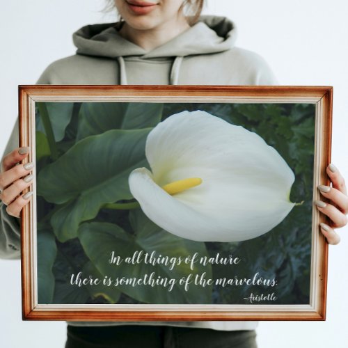 White Calla Lily Aristotle Philosophical Quote Poster