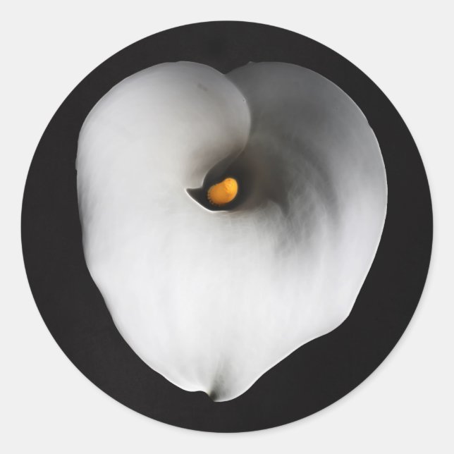 white calla lily classic round sticker (Front)