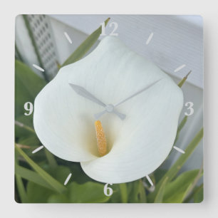 White Calla Lily Flower Backyard Garden Photo Square Wall Clock