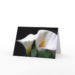 White Calla Lily Flower Greeting Card