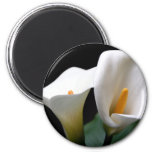 White Calla Lily Flower Round Magnet