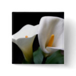 White Calla Lily Flower  Square Pin