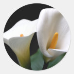 White Calla Lily Flower Sticker at Zazzle