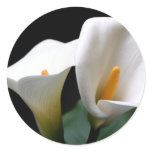 White Calla Lily Flower Sticker