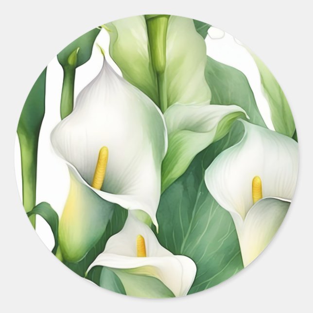 White Calla Lily Nature Classic Round Sticker (Front)