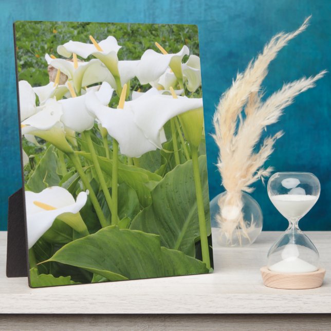 White Calla Lily   Plaque (Side)