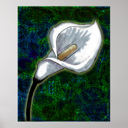 White Calla Lily (Semi-Gloss Poster) Poster