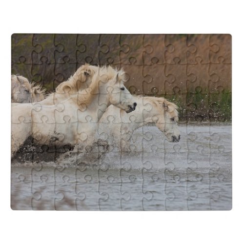 White Camargue Horses Running in Water Jigsaw Puzzle