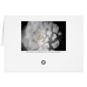 White Camelia Cards (Back Horizontal)