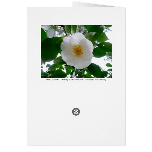 White Camellia (Back)