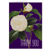 White Camellia, 1833 (Front)