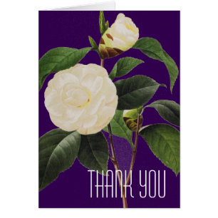 White Camellia, 1833 Cards