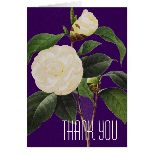 White Camellia, 1833 Cards (Front)