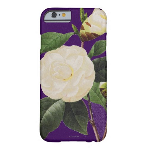 White Camellia 1833 Barely There iPhone 6 Case