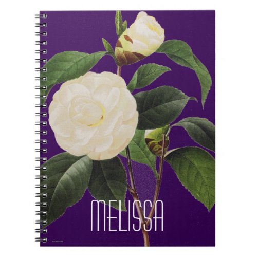 White Camellia 1833 Notebook