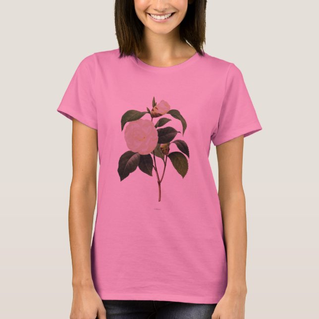 White Camellia, 1833 T-Shirt (Front)