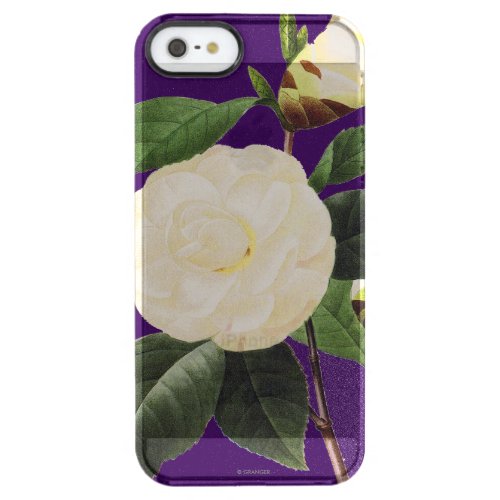 White Camellia 1833 Clear iPhone SE55s Case