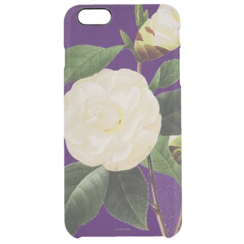 White Camellia 1833 Clear iPhone 6 Plus Case