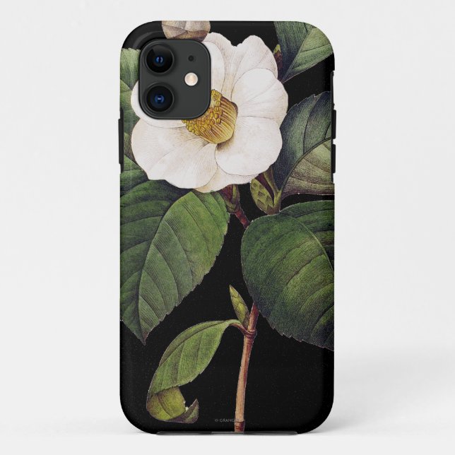 White Camellia Case-Mate iPhone Case (Back)
