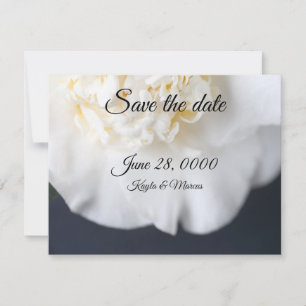 White camellia flower save the date