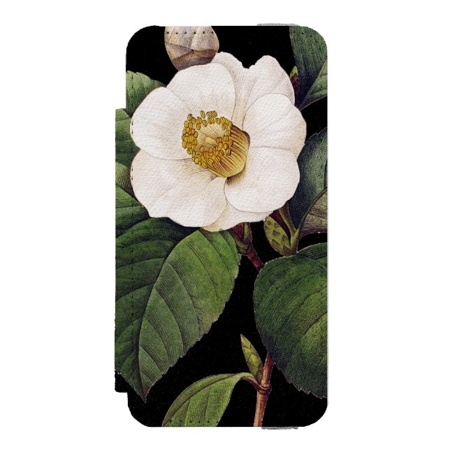 White Camellia Incipio iPhone Wallet Case (Folio Front)