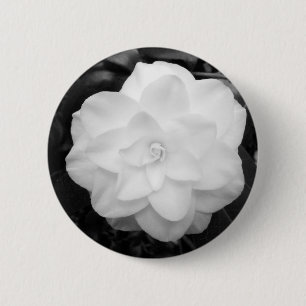 White Camellia Pinback Button