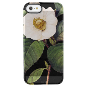 White Camellia Clear iPhone SE/5/5s Case