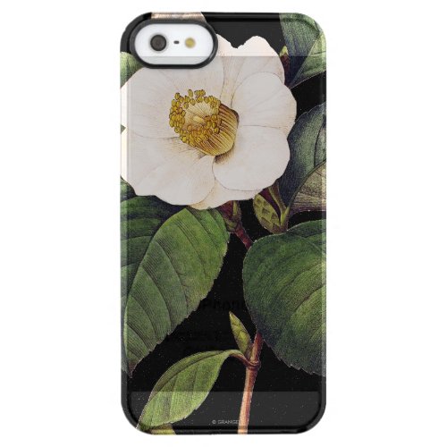 White Camellia Clear iPhone SE55s Case