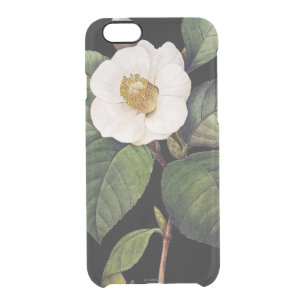 White Camellia Clear iPhone 6/6S Case