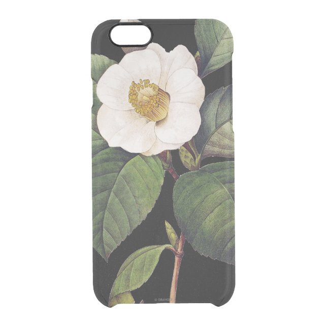 White Camellia Uncommon iPhone Case (Back)