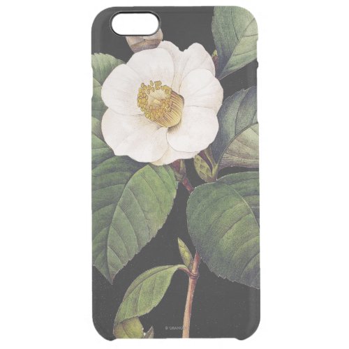 White Camellia Clear iPhone 6 Plus Case