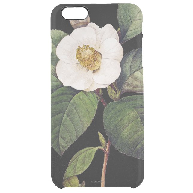 White Camellia Uncommon iPhone Case (Back)