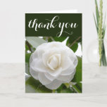 White Camellia Watercolor Fine Floral Thank You at Zazzle