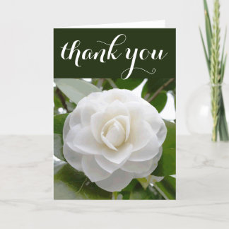 White Camellia Watercolor Fine Floral Thank You