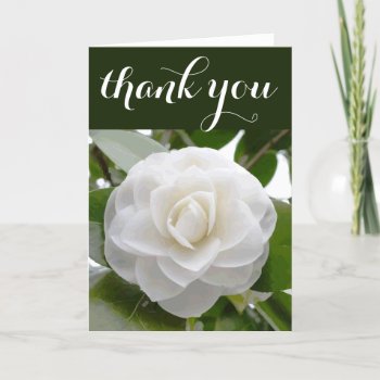 White Camellia Watercolor Fine Floral Thank You by euclid_ at Zazzle
