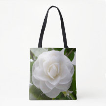 White Camellia Watercolor Fine Floral