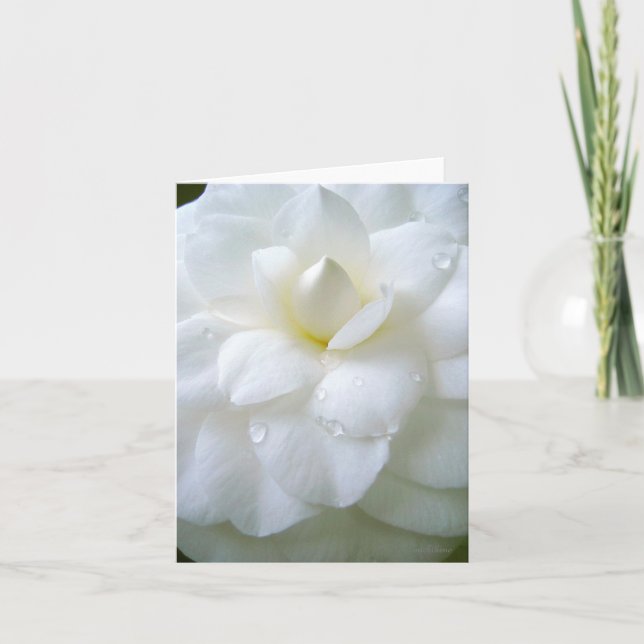 White Camellia with dew Letterpress Thank You Card (Front)