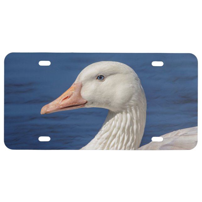 White Canada Goose License Plate (Front)