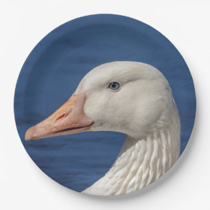 White Canadian Goose Paper Plates