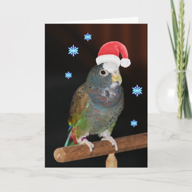 White-capped Pionus Santa Greetings Holiday Card (Front)