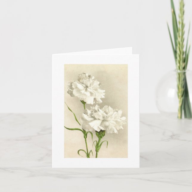 White Carnation Thinking of You/Thank You Card (Front)