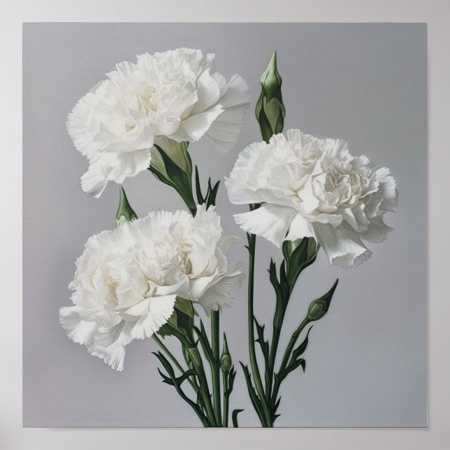 White Carnations Flower Art Print Poster (Front)