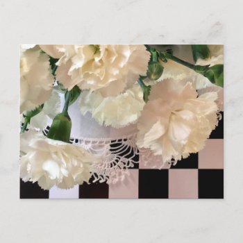 White Carnations Postcard by logodiane at Zazzle