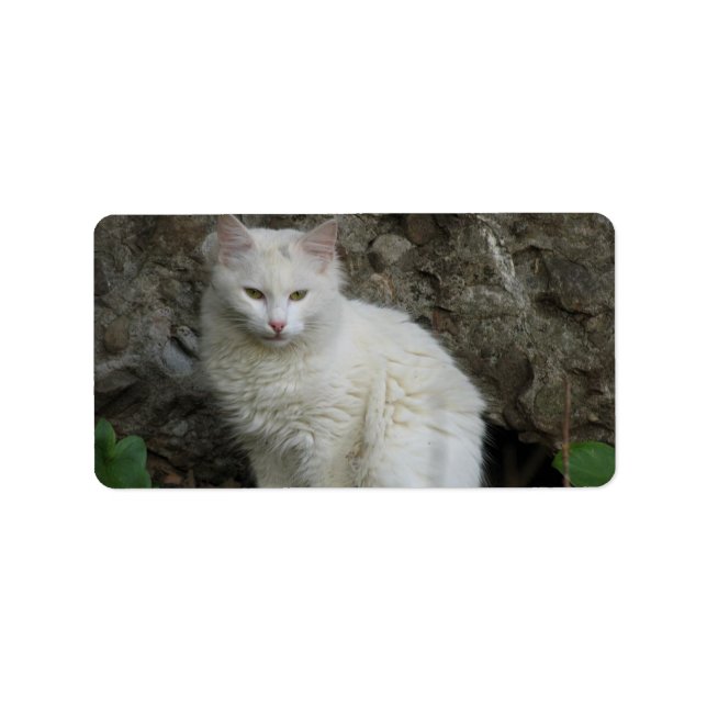 White Cat Address Label (Front)