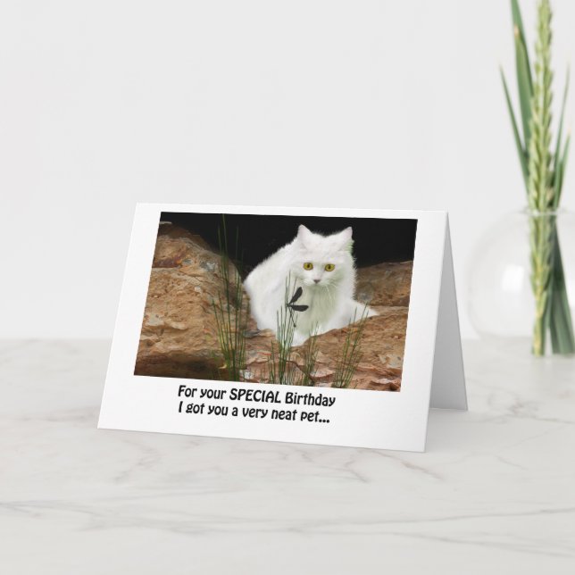 white cat and dragonfly cropped, birthday text ... card (Front)