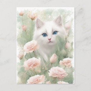 White Cat and Pink Flowers  Postcard