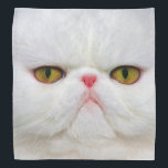 White Cat Bandana<br><div class="desc">Funny pets. Face of white cat with yellow eyes.</div>