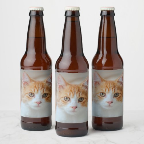 White cat beer bottle label